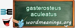 WordMeaning blackboard for gasterosteus aculeatus